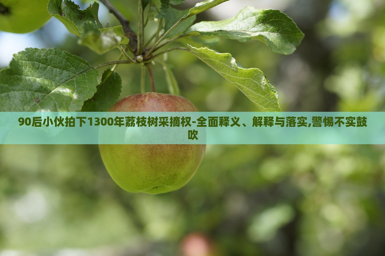 90后小伙拍下1300年荔枝樹(shù)采摘權(quán)-全面釋義、解釋與落實(shí),警惕不實(shí)鼓吹