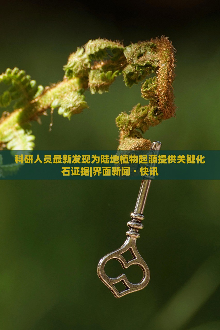 科研人員最新發(fā)現(xiàn)為陸地植物起源提供關(guān)鍵化石證據(jù)|界面新聞 · 快訊