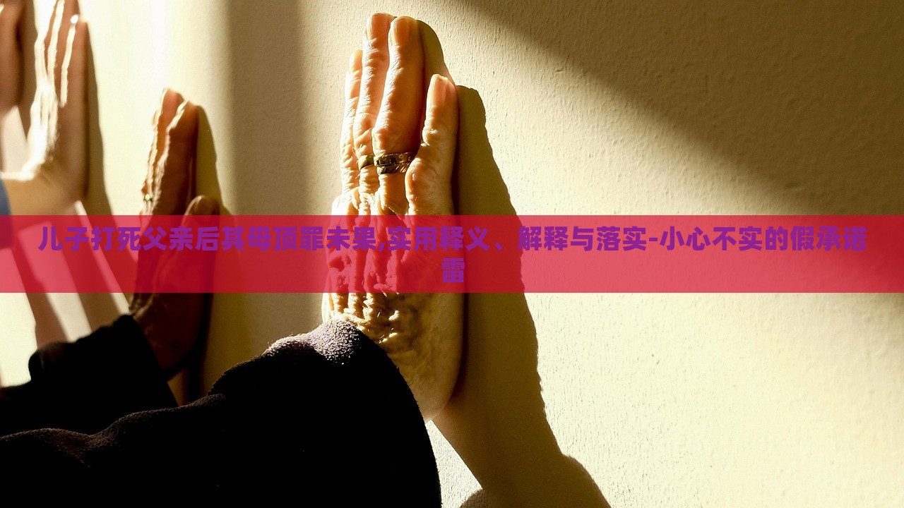 兒子打死父親后其母頂罪未果,實用釋義、解釋與落實-小心不實的假承諾雷