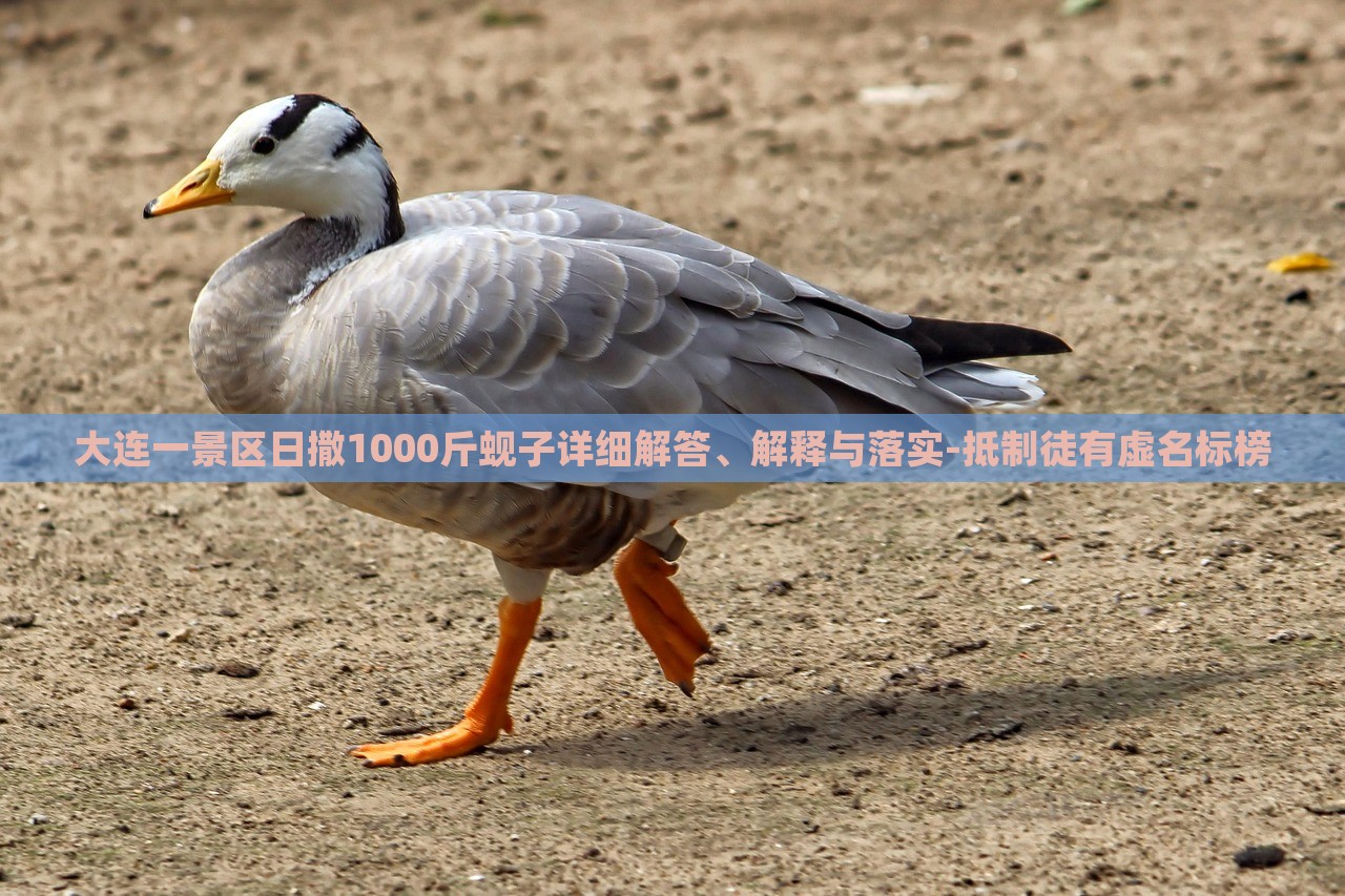 大連一景區(qū)日撒1000斤蜆子詳細(xì)解答、解釋與落實(shí)-抵制徒有虛名標(biāo)榜