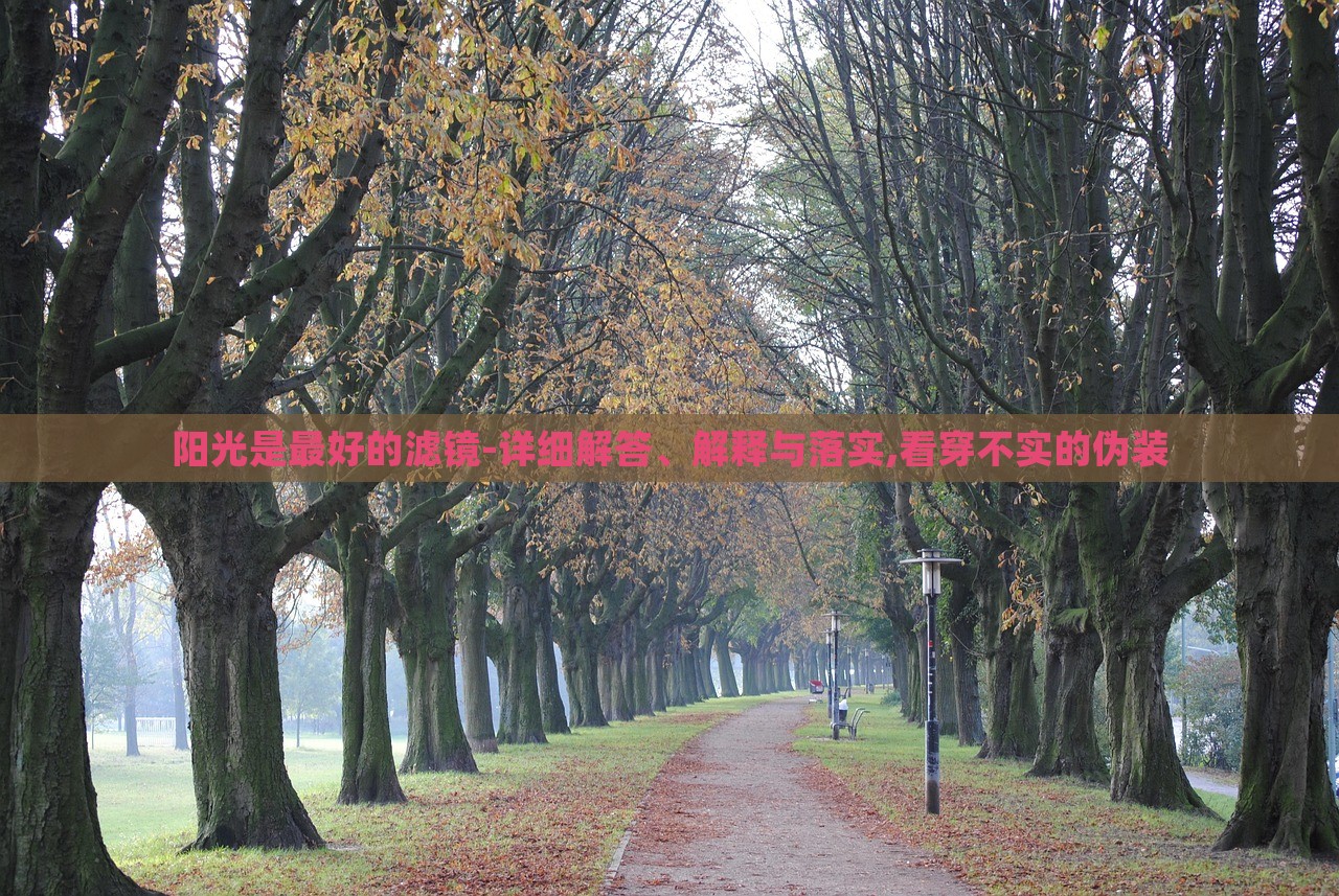 陽光是最好的濾鏡-詳細(xì)解答、解釋與落實,看穿不實的偽裝