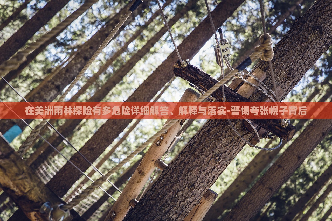 在美洲雨林探險有多危險詳細解答、解釋與落實-警惕夸張幌子背后