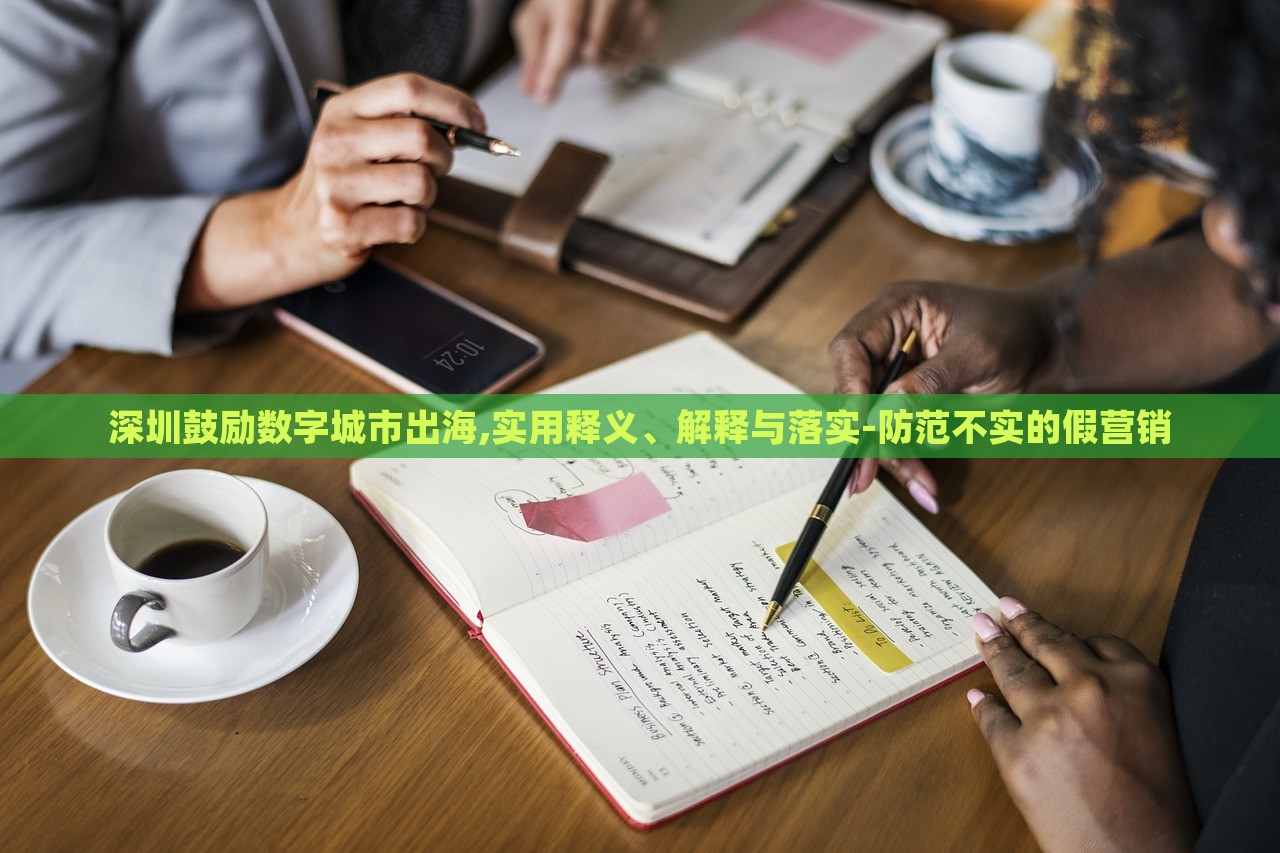 深圳鼓勵數(shù)字城市出海,實用釋義、解釋與落實-防范不實的假營銷